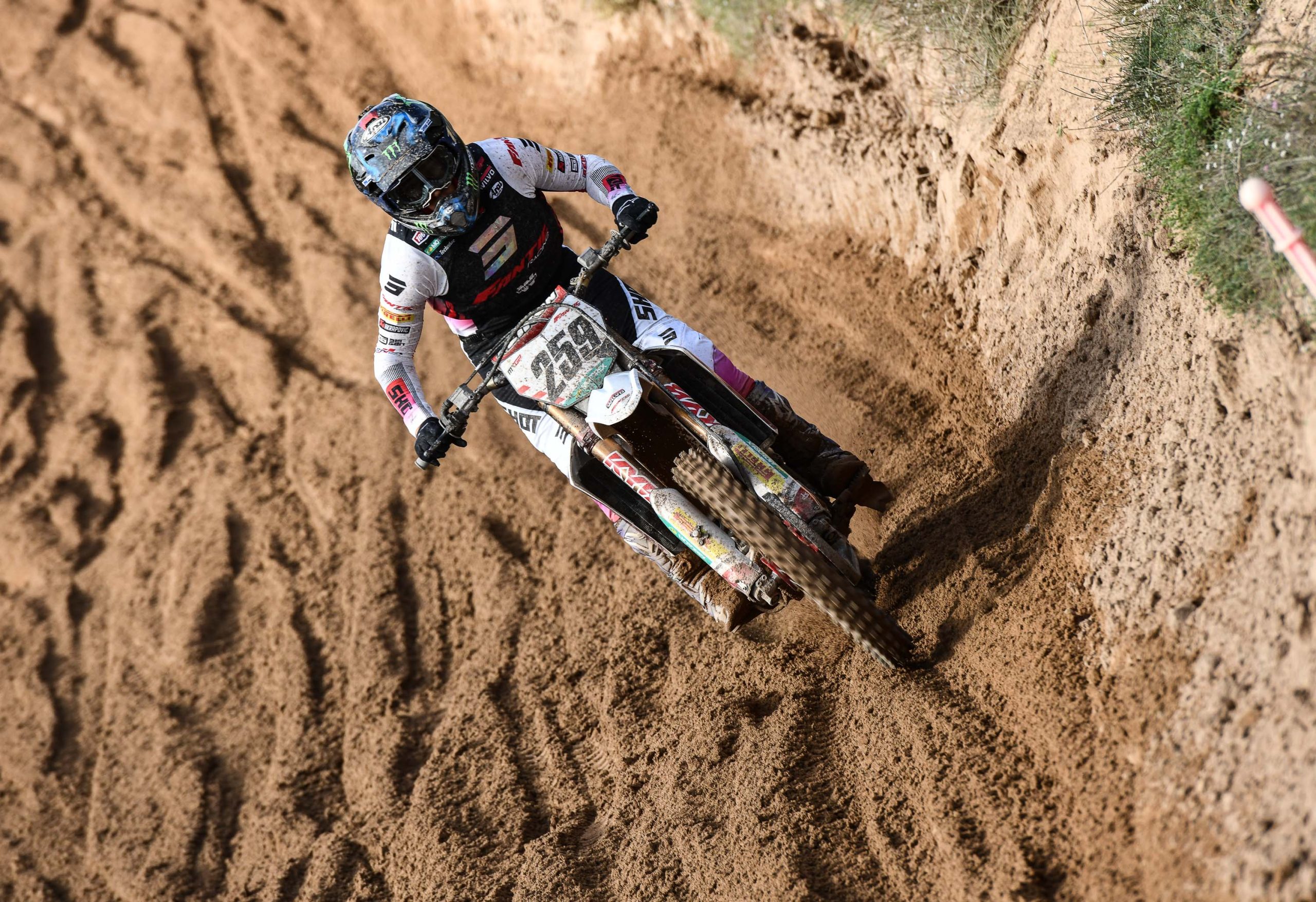 Glenn Coldenhoff MXGP 2024 Fantic