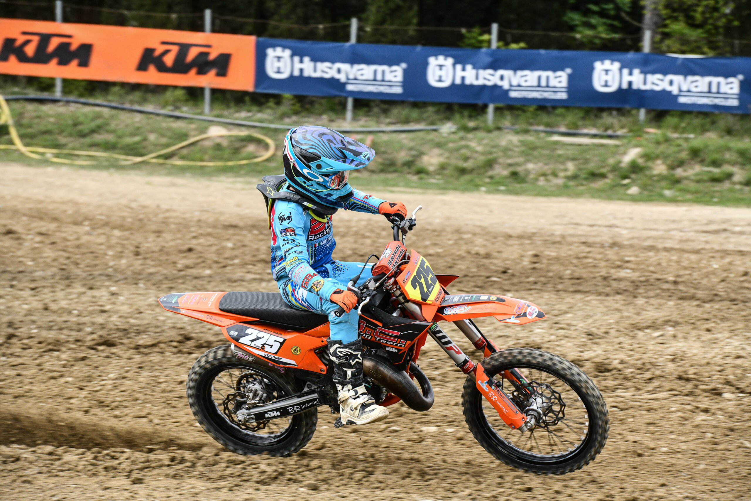 Nico Giacobbe - Junior