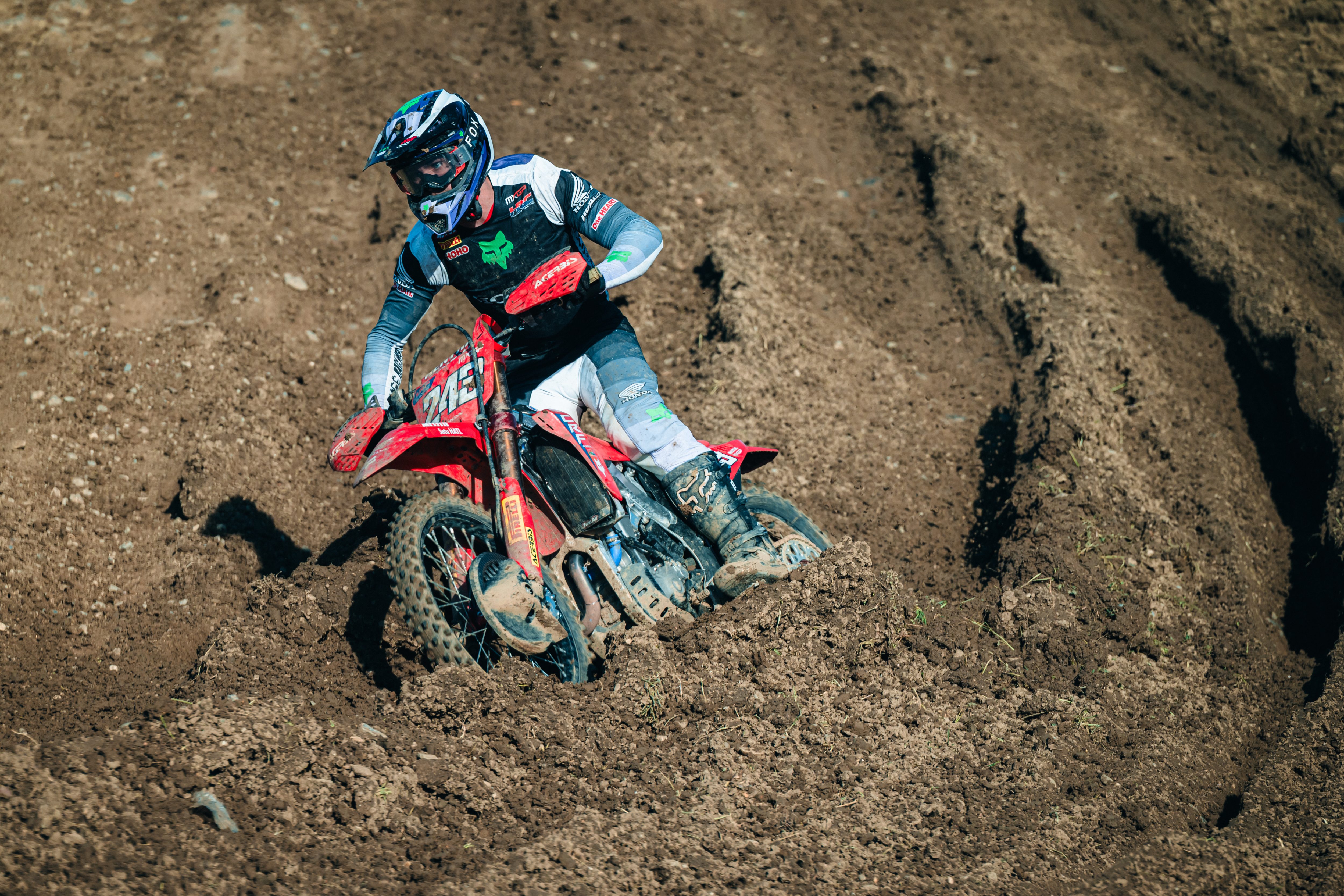 Tim Gajser #243