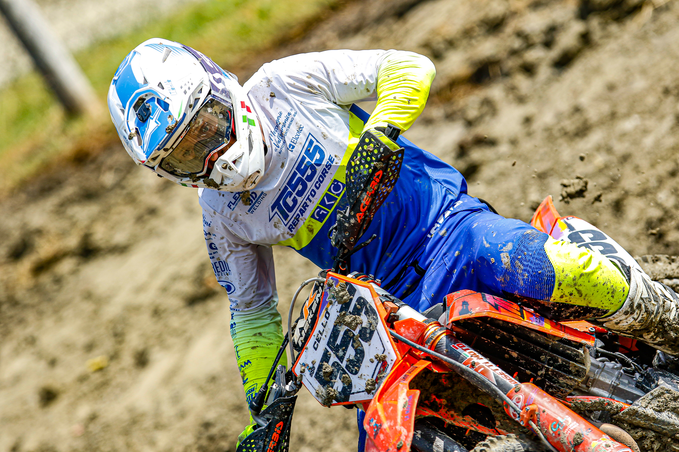 Marcello Disetti #555