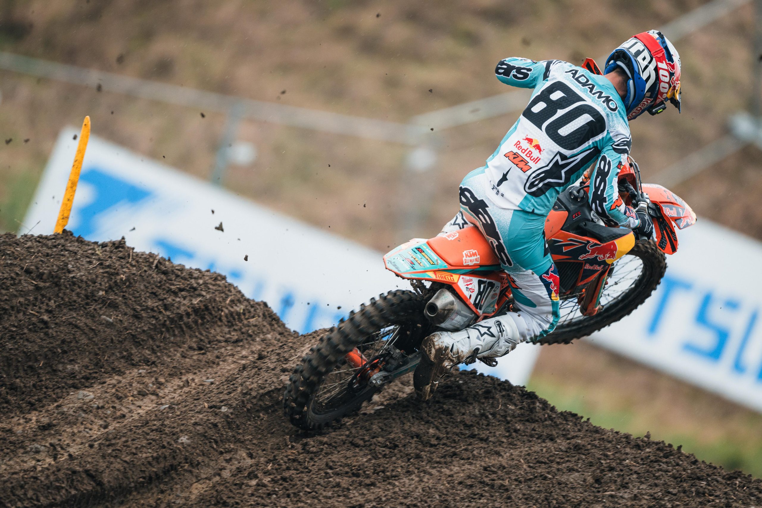 Ottimo Andrea Adamo oggi