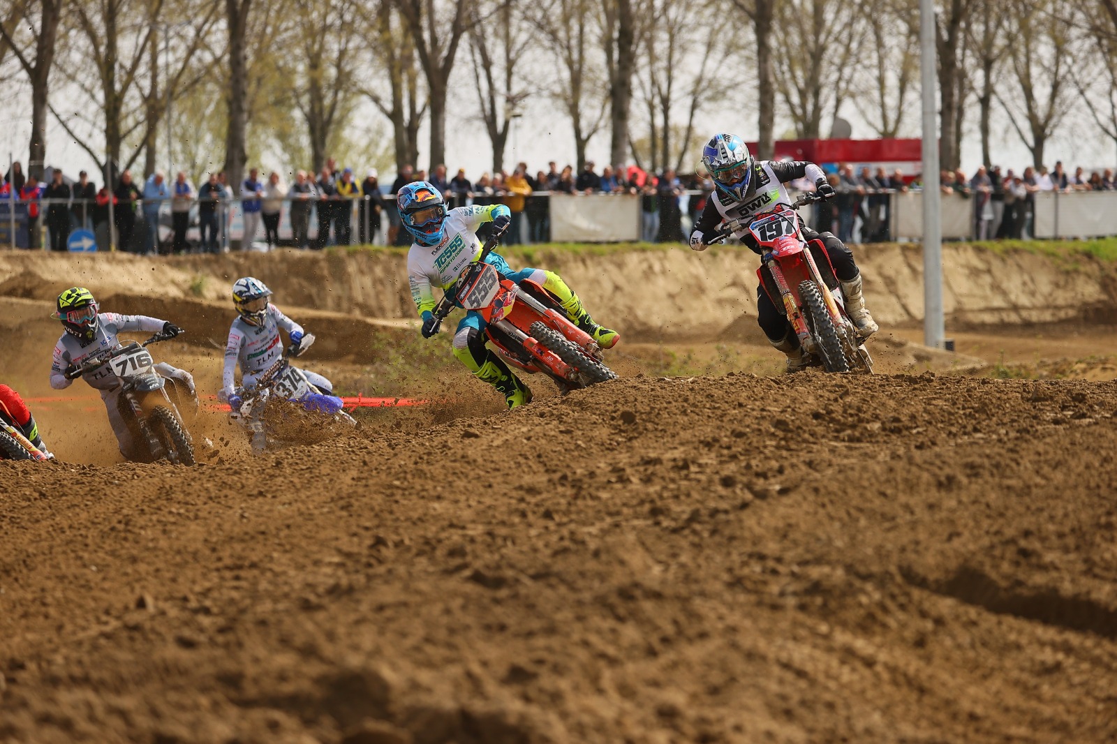 Cello Disetti #555 in bagarre