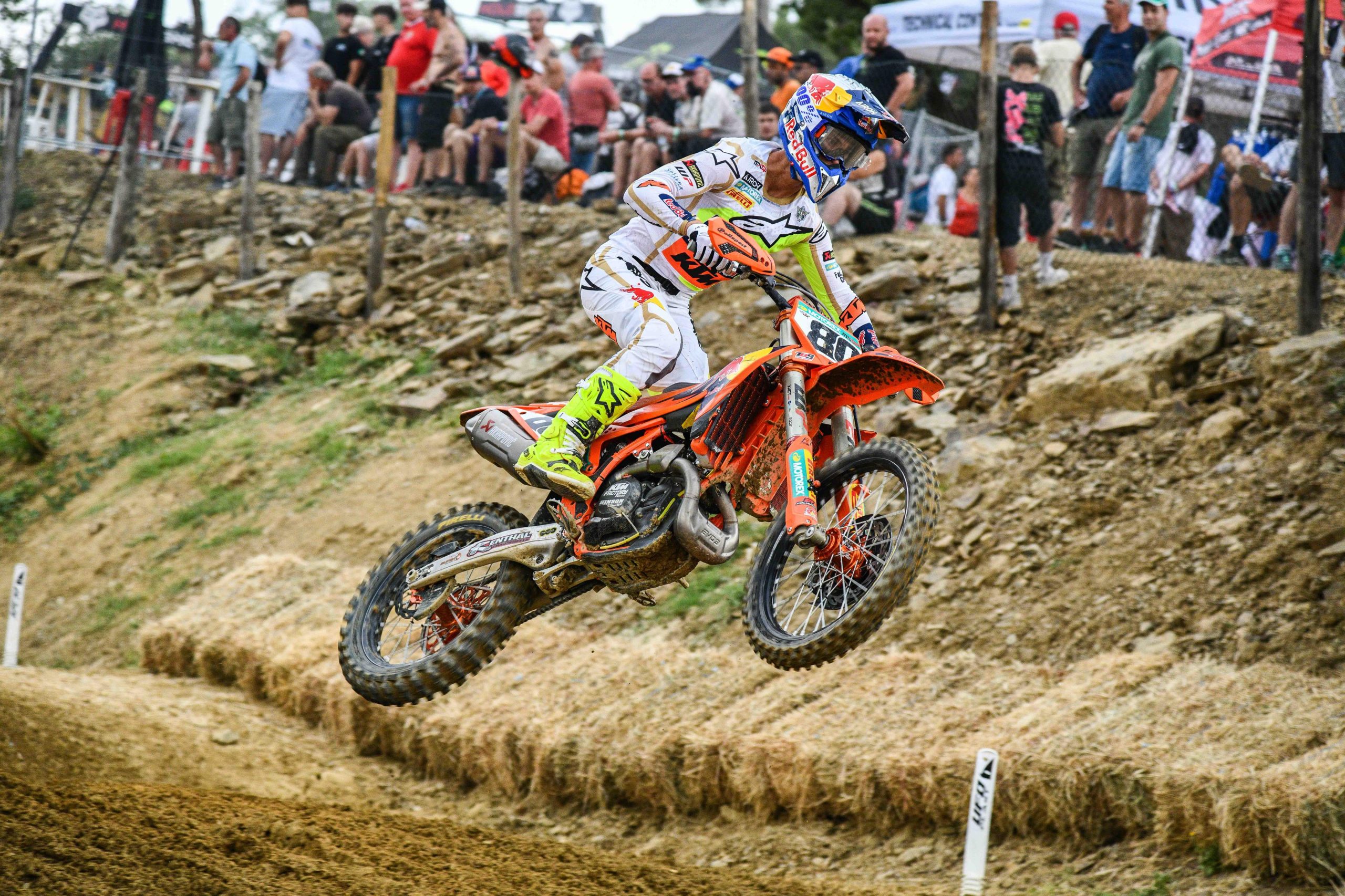 Andrea Adamo #80