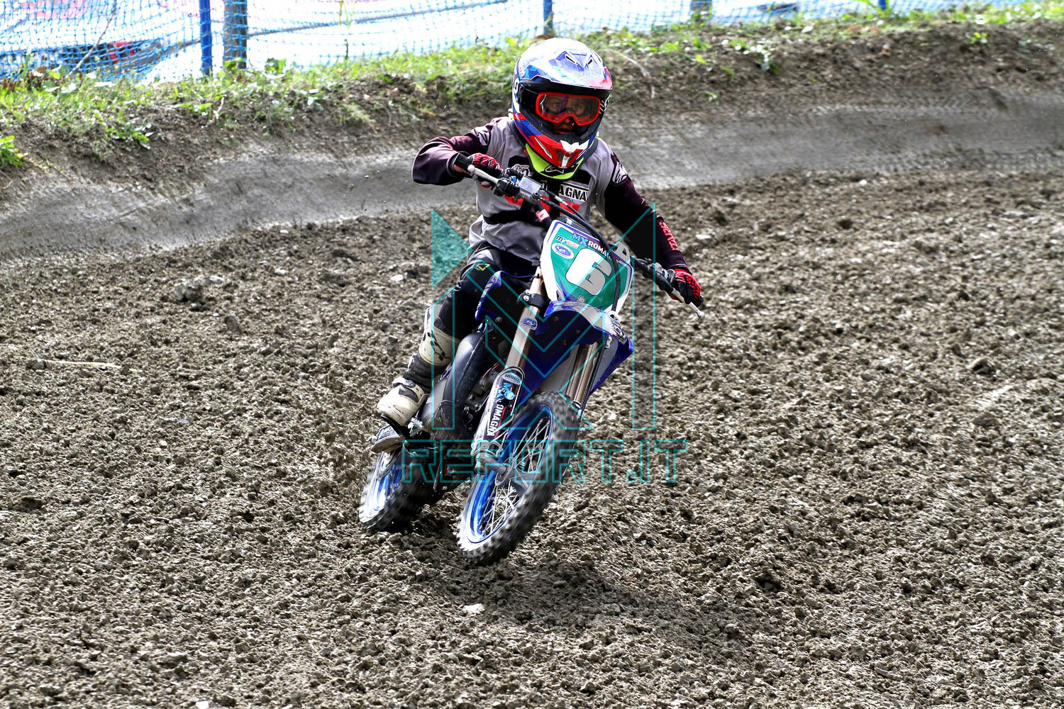 CastellaranoregFmi041020-1067