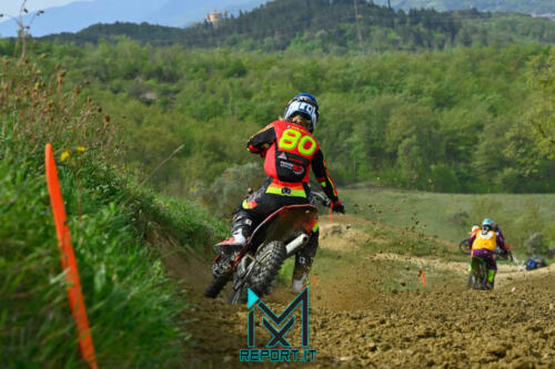 Città Di Castello-ITA Pro 1251148