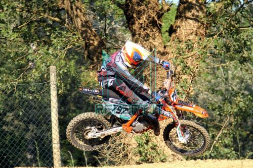 FaenzaregFmi280620-1135