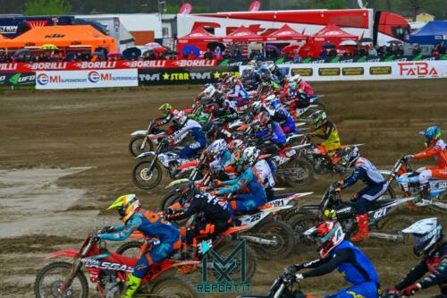 Mantova-Ita Pro Prestige-1060