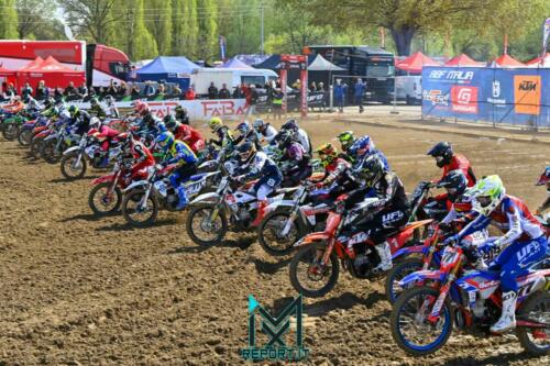 Mantova-Ita Pro Prestige-1083