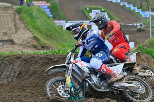 Mantova-Ita Pro Prestige-1114