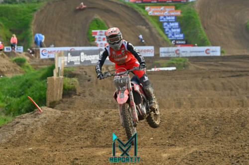 Mantova-Ita Pro Prestige-1121