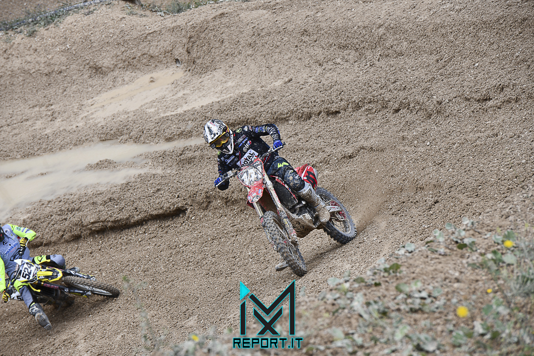 cingoli-reg- (101 di 270)