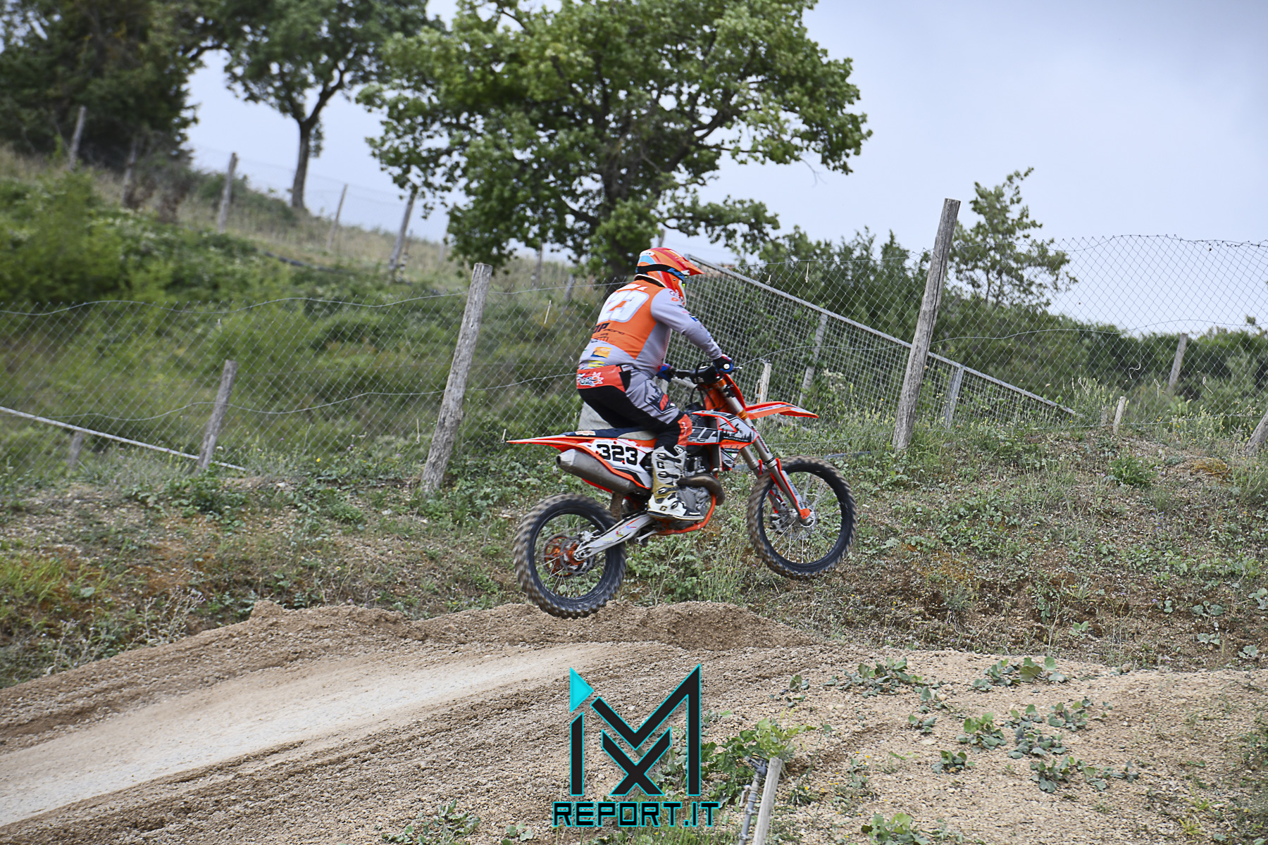 cingoli-reg- (214 di 270)