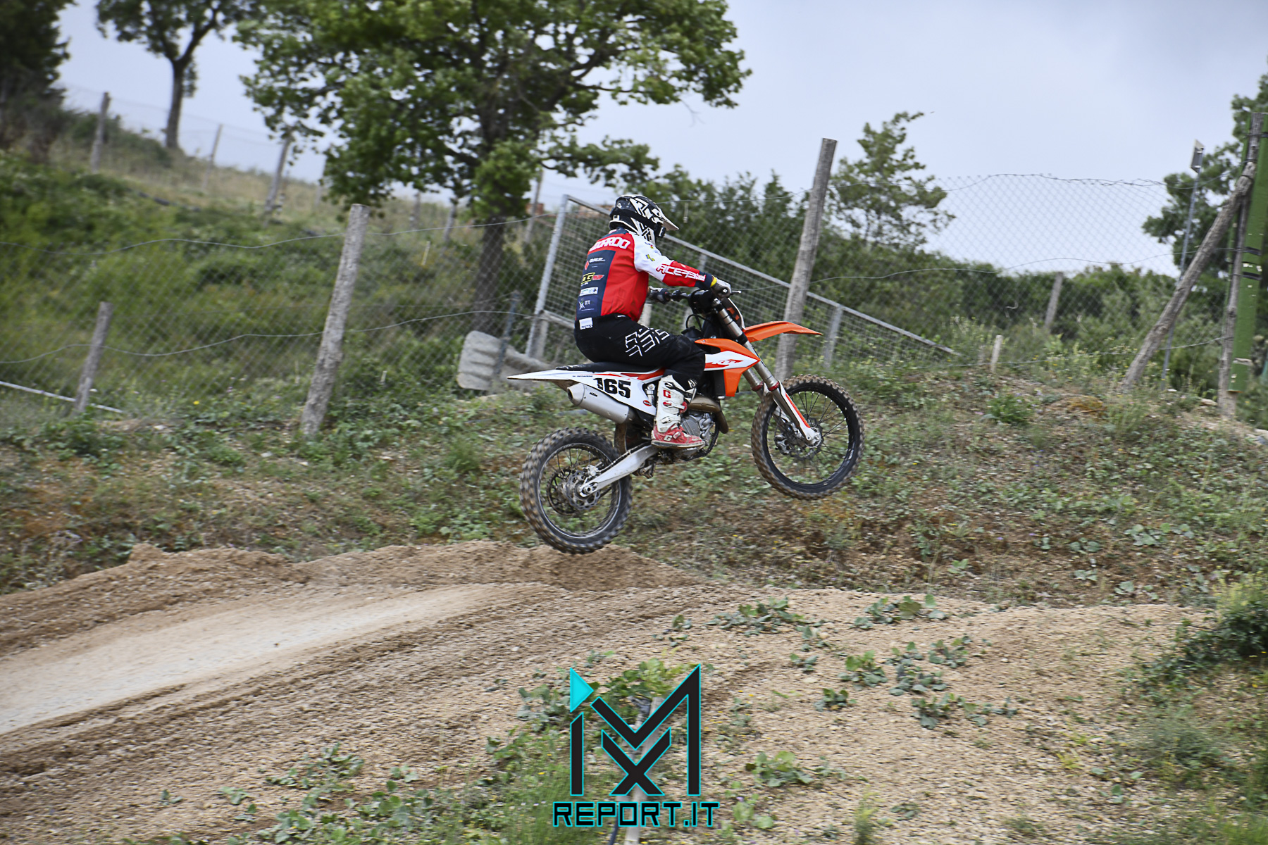 cingoli-reg- (215 di 270)