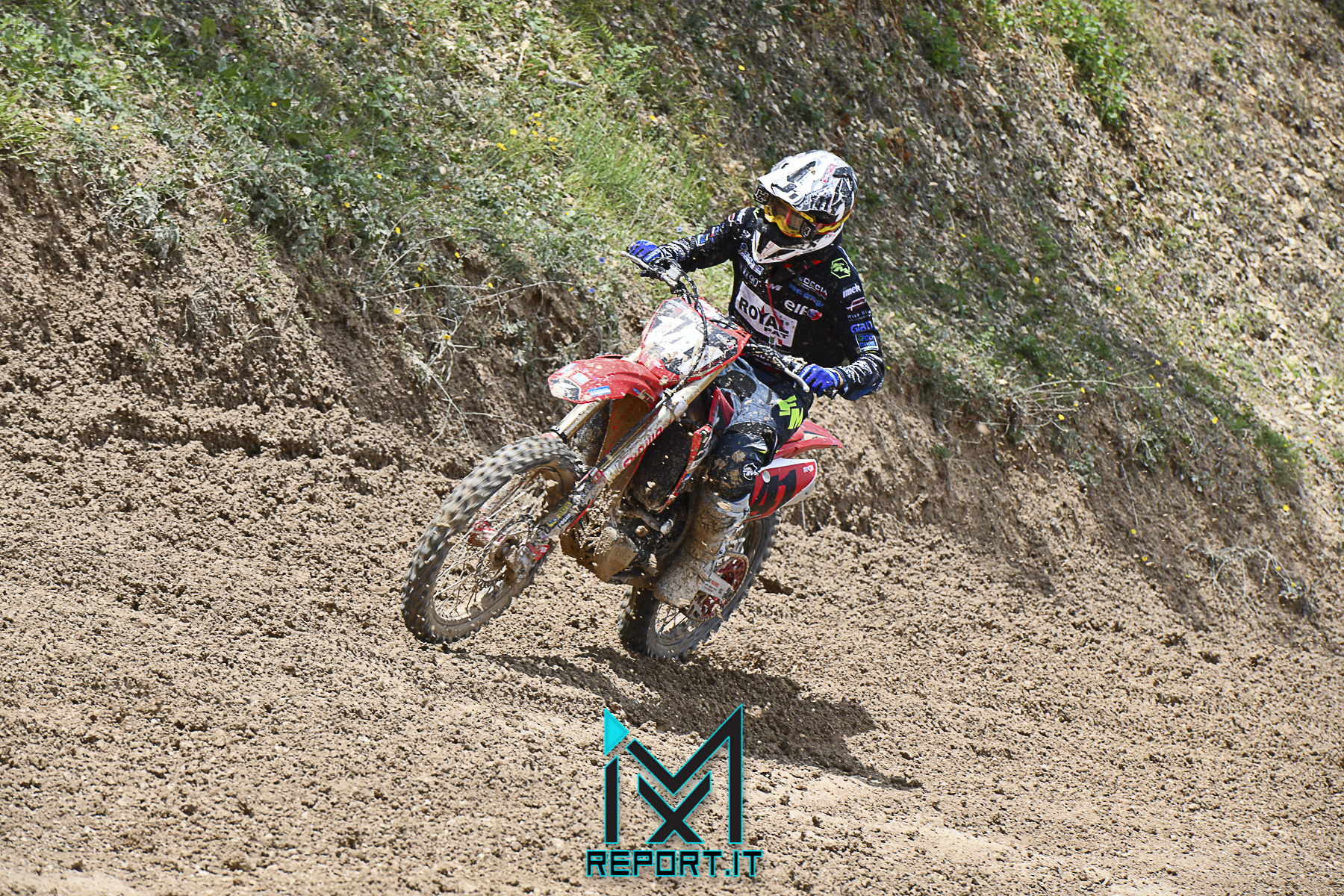 cingoli-reg- (88 di 270)