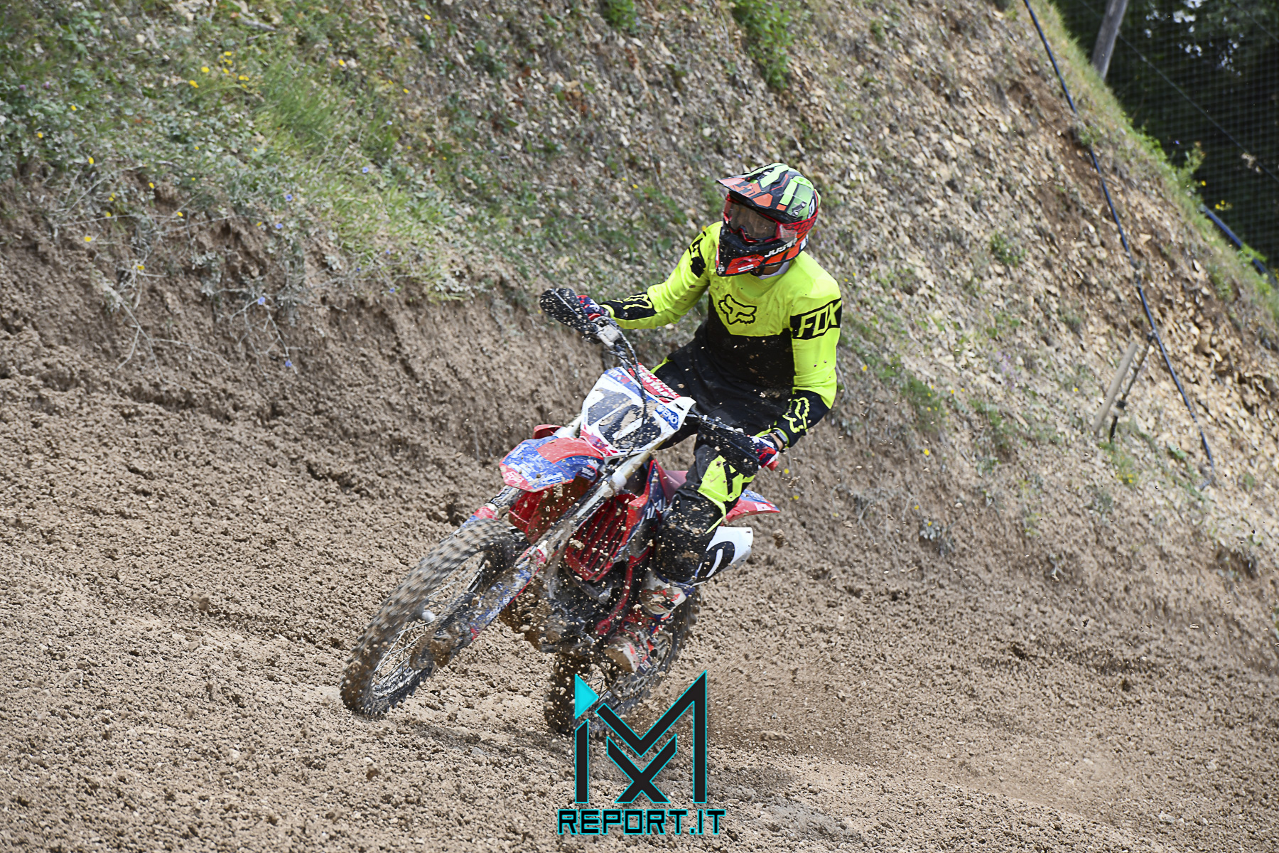 cingoli-reg- (89 di 270)